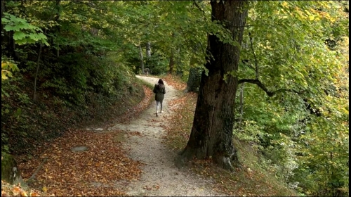 Mauvais Rêve d'Ilona (2m52)