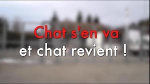 Chat s'en Va et Chat Revient